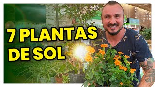 7 plantas para cultivar no sol  Conheça e aprenda como cuidar [upl. by Alacim]