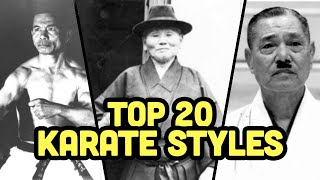 Top 20 Best Karate Styles [upl. by Yeoj651]