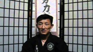 Chosun Ninjas history Korean Ninjutsu [upl. by Taryne743]