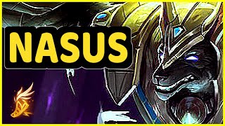 Nasus killed Briar [upl. by Faden982]