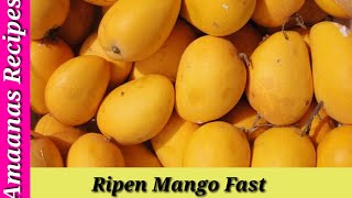 Recipe 18  How to ripen mangoes fast [upl. by Hannahsohs]