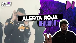 ALERTA ROJA  Cover Daddy Yankee❌Arcangel❌De la Ghetto❌ Plan B❌ Cosculluela VIDEO REACCION [upl. by Ylimme]