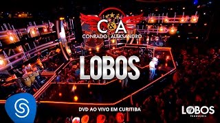 Conrado e Aleksandro  Lobos DVD AO VIVO EM CURITIBA [upl. by Yffat]