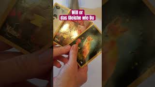 🤷‍♀️😍❤️❣️🤩liebesorakel liebe liebesbotschaft dualseelen soulmate seelenpartner shorts [upl. by Elihu]