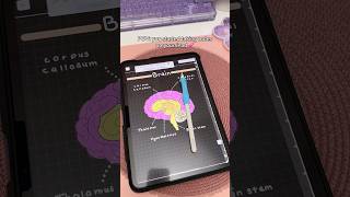 iPad note taking Dark mode 💗 aesthetic digital notes  take notes with me  iPad accessories  study [upl. by Gnep]