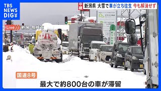 新潟・国道8号 新潟市方面は1時間に100メートルほど進む 記録的大雪での滞留いまだ解消されず｜TBS NEWS DIG [upl. by Esemaj]