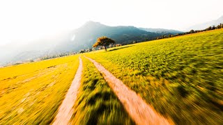 Autumnvibes in Switzerland  Cinematic FPV [upl. by Llevron122]