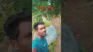 berel sasang dubi gaassanthali new songshortvideo viralvideo [upl. by Thia]