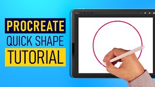 Procreate Quick Shape Tutorial  Procreate Tips [upl. by Maxama]