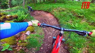 Riding Fast and Flowing MTB Trails  Birnam Hill  Dunkeld Scotland [upl. by Gnanmos]