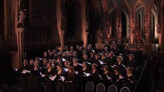 Barber  AGNUS DEI arr Adagio for Strings  Laurens Symfonisch  LIVE [upl. by Gil]