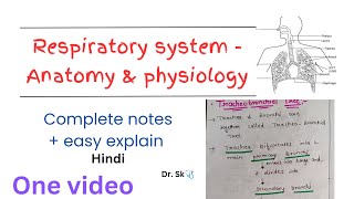 Complete Respiratory System  Anatomy amp Physiology notes in one video  hindi  easy explanation [upl. by Anitsrihc]