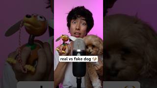 real vs fake dog 🐶 asmr [upl. by Uhn]