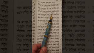 Rosh Chodesh Torah Reading Ashkenaz [upl. by Wadleigh250]