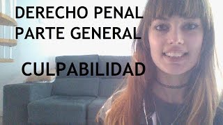 La Culpabilidad  Reprochabilidad personal  DERECHO PENAL PARTE GENERAL [upl. by Nessa]