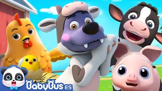 Canción de Granja  Canciones Infantiles  Videos para Niños  BabyBus en Español [upl. by Proudfoot]