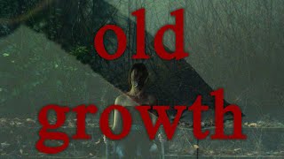 Trailer for Old Growth fake horror film [upl. by Llertnad]