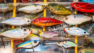 Lipless Crankbait Tricks To Catch Bigger Bass This Fall [upl. by Nojed]