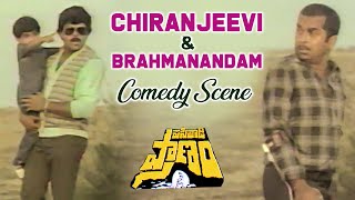 Pasivadi Pranam Movie Scenes  Chiranjeevi amp Brahmanandam Comedy Scene  Vijayashanthi Raghuvaran [upl. by Payne768]