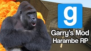 Memes Gmod Harambe RP [upl. by Eninnaj]