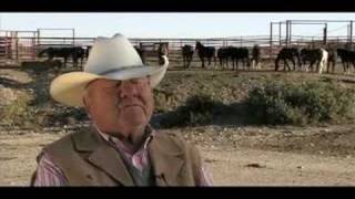 Rodeo Man Harry Vold of Pueblo Colorado [upl. by Penland]