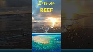 Coral Reef  barrier reef  fringing reefs  Atolls shorts shortsvideo environment [upl. by Rairb318]