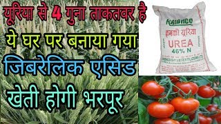 Gibberellic Acid के बारे में संपूर्ण जानकारी [upl. by Josephina]