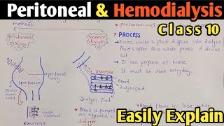 Dialysis  Peritoneal And Hemodialysis  Class 10 Biology [upl. by Negaet535]