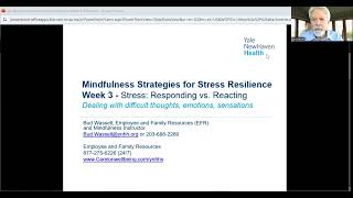 Mindfulness Strategies for Stress Resilience  Week 3 [upl. by Aeret425]