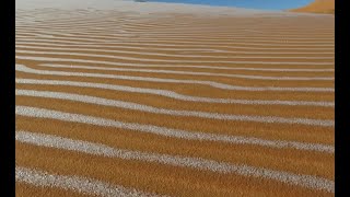 Snow blankets sand in the Sahara desert after temperatures in Algeria fall below zero [upl. by Matusow]