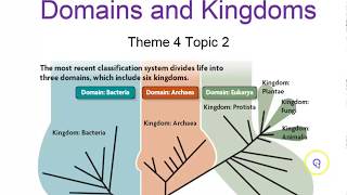 Domains and Kingdoms Theme 4 Topic 2 [upl. by Ayouqes]