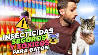 Cómo ACABAR CON INSECTOS 🦟 DE FORMA SEGURA ✅ en casas CON GATOS 🐱 Tierra de diatomeas aceites y [upl. by Alue597]