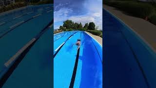 Smooth freestyle swimming swimming [upl. by Acirtap691]