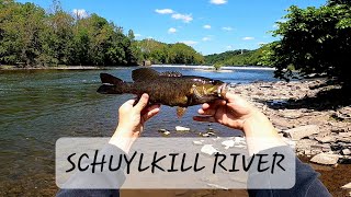 Smallmouth Bass Fishing The Schuylkill River in Phoenixville PA [upl. by Odel]