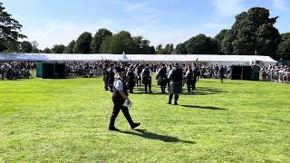 European Pipe Band Championships 2024  Grade 2 Medley  Portlethen and District [upl. by Ettenwahs]