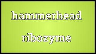 Hammerhead ribozyme Meaning [upl. by Karly]