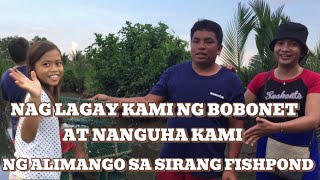 NAG LAGAY KAMI NG BOBONET AT NA NGUHA NG  ALIMANGO PARA ME PANG ULAM DAILY LIFE [upl. by Ragg808]