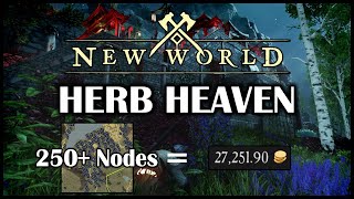 New World MMO  The Best Herb Farm in New World  250 Nodes  5000  10000 Coins Hour [upl. by Ynoffit]