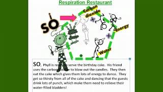 PhotosynthesisRespirationTranspiration [upl. by Simone]