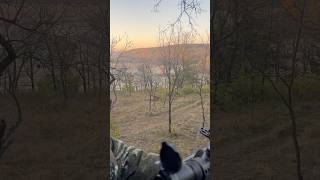 First Deer  Crossbow 🦌 deerhunting bucks deer vortex wildlife [upl. by Amiarom421]