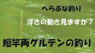 へらぶな釣り 両グルテン＆両グルダン＆両ダンゴの釣り紹介します！ ２０２４年４月度高槻無名会 ※様々なヘラ浮きの動き、短竿 浅タナカッツケ釣りでも動きます！ハイブリッドトップは次回に詳しく（NO１） [upl. by Bryon]