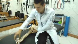 ANATOMIA da COLUNA VERTEBRAL PALPAÇÃO vídeo aula Clínica de Fisioterapia Dr Robson Sitta [upl. by Matuag457]