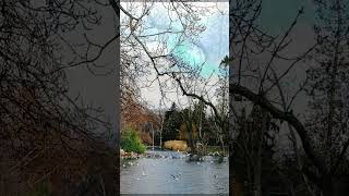 Beautiful view in stadtpark vienna birds lake relaxed music [upl. by Reldnahc]