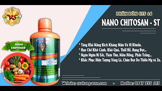 CHẾ PHẨM HỮU CƠ VI SINH NANO CHITOSAN – ST KÍCH KHÁNG NẤM KHUẨN GÂY HẠI NÔNG NGHIỆP HỮU CƠ [upl. by Odin114]