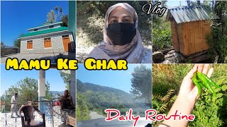 Routine In Village🤗 Naani Ke Ghar Gyi😍Vlog [upl. by Silvan400]