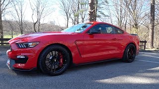 Shelby GT350 Daily Driven 1 Year Review  Auto Fanatic [upl. by Rajiv797]