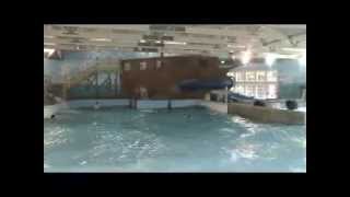 Indoor Wave Pool at the Cape Codder Resort amp Spa  Hyannis [upl. by Gautier]