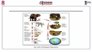 Ecosystems Concept Structure and Functions – Part 1 [upl. by Hedvige]