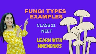 BIOLOGICAL CLASSIFICATION FUNGI MNEMONICS CLASS 11 NEET [upl. by Marjy]