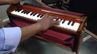 Harmonium BINA Dulcetina 3 ½ octaves portable 2 reed [upl. by Ylra]